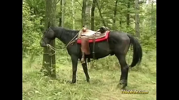 esposa com tesão em trio na floresta melhores filmes recentes