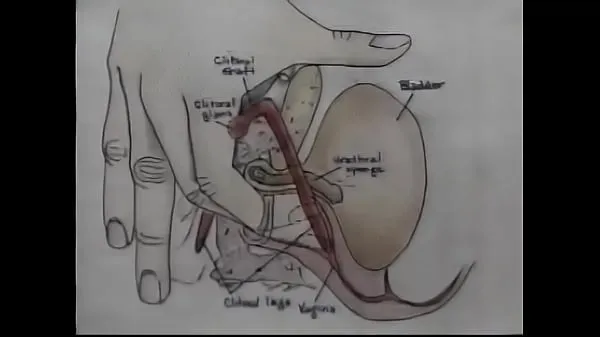 Vídeo de treinamento de orgasmo para educação sexual melhores filmes recentes